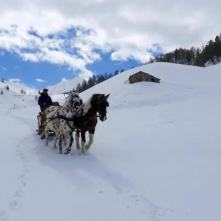 Résidence Château Des Magnans By Nevesol