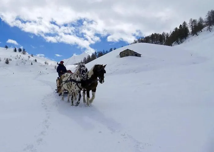 Chateau Des Magnans By Nevesol